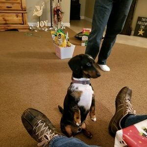 Meet your Posher, Leona